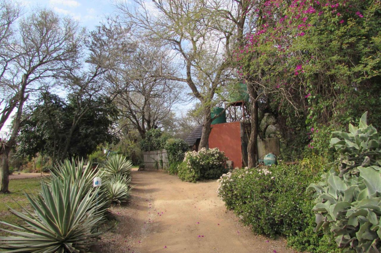 Amanzimlotzi Riverside Bush Camp Hoedspruit Esterno foto