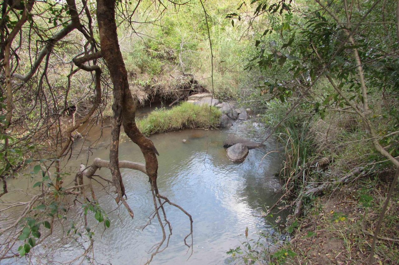 Amanzimlotzi Riverside Bush Camp Hoedspruit Esterno foto