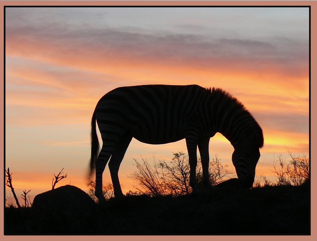 Amanzimlotzi Riverside Bush Camp Hoedspruit Esterno foto