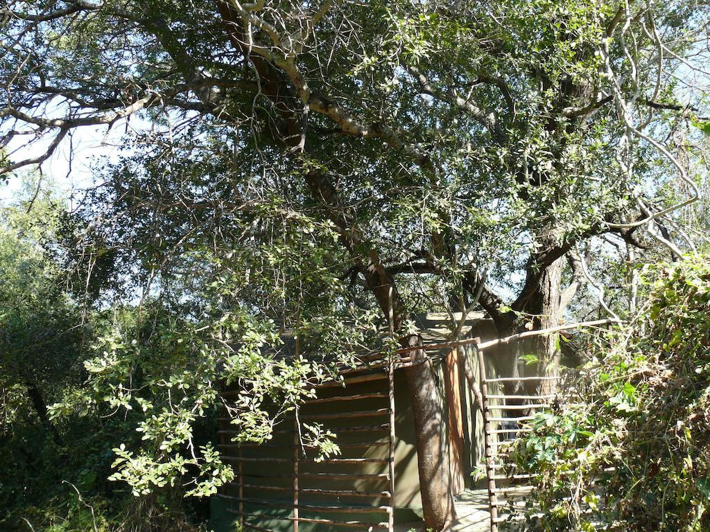Amanzimlotzi Riverside Bush Camp Hoedspruit Camera foto