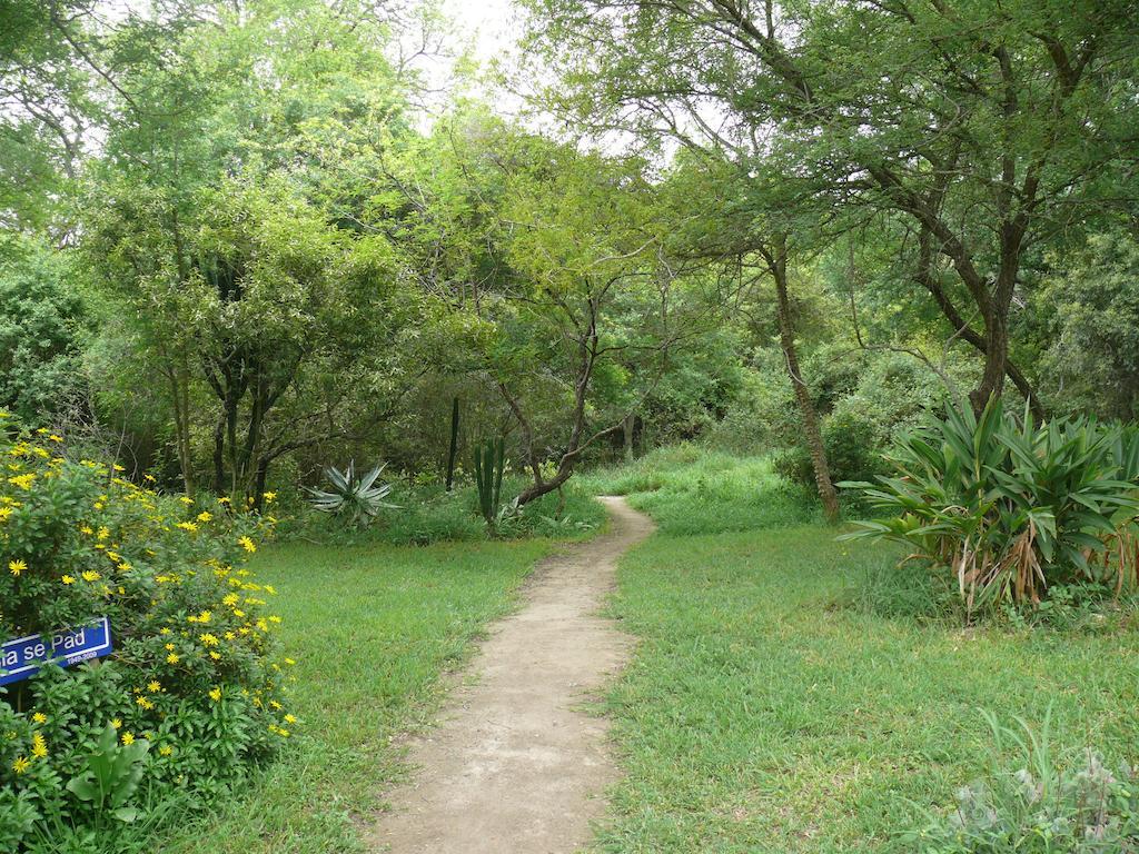 Amanzimlotzi Riverside Bush Camp Hoedspruit Camera foto
