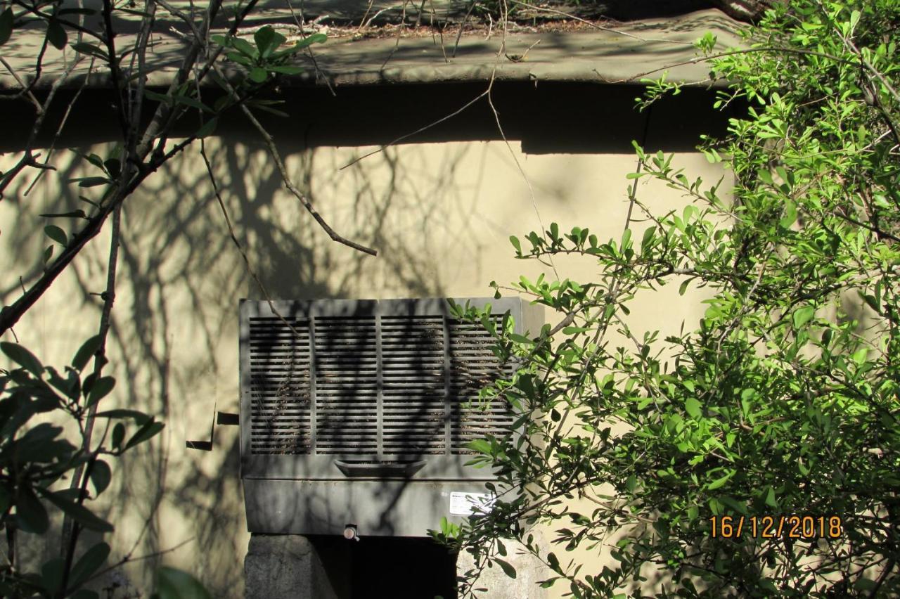 Amanzimlotzi Riverside Bush Camp Hoedspruit Esterno foto