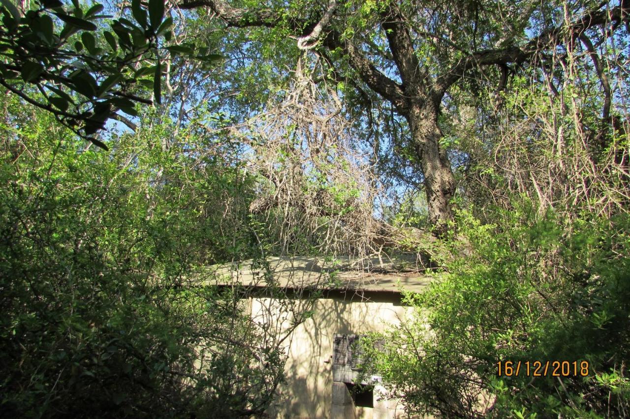 Amanzimlotzi Riverside Bush Camp Hoedspruit Esterno foto