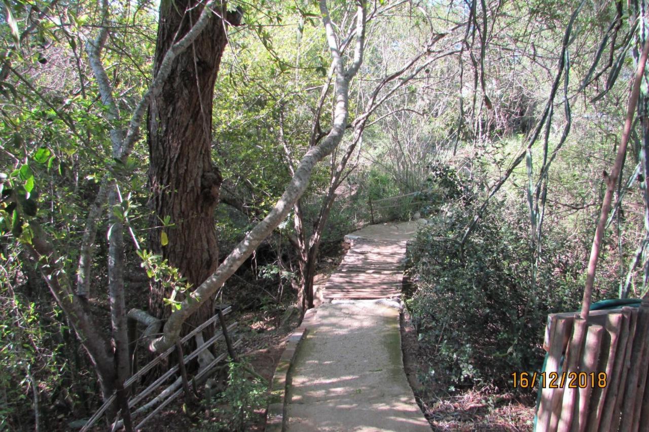 Amanzimlotzi Riverside Bush Camp Hoedspruit Esterno foto