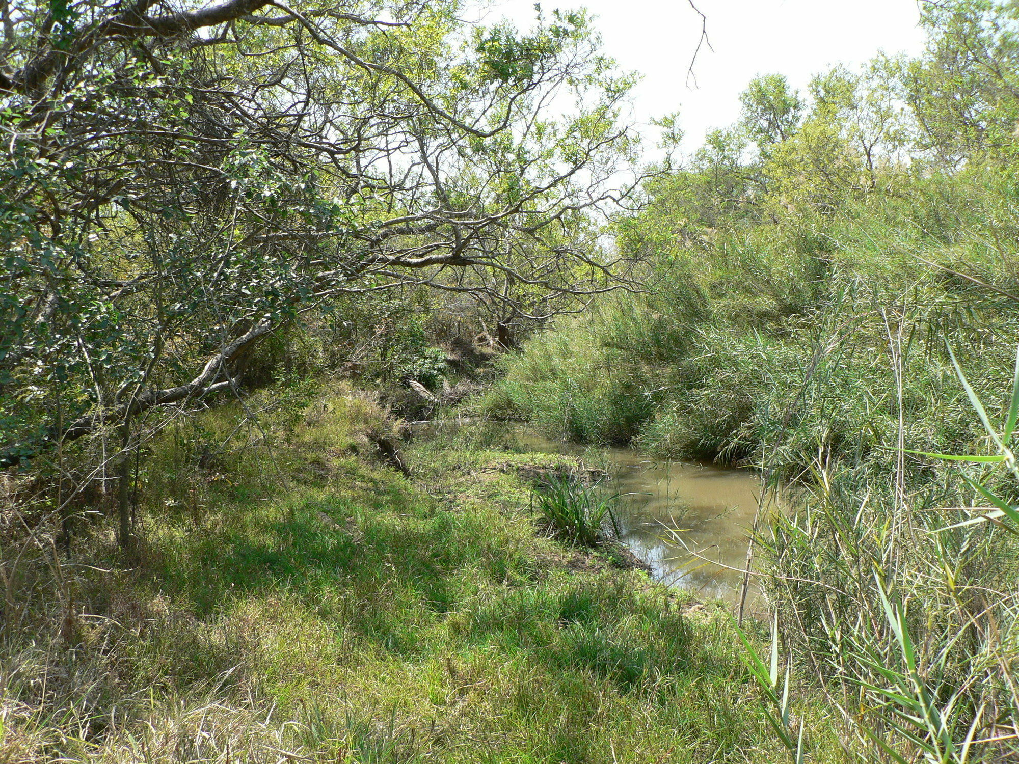 Amanzimlotzi Riverside Bush Camp Hoedspruit Esterno foto